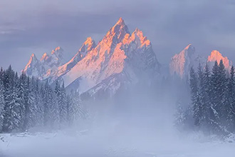 gallery-photo
