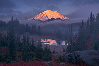 gallery-photo