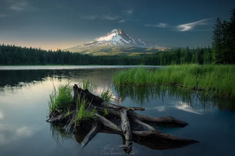 gallery-photo