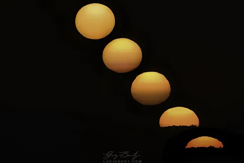 gallery-photo