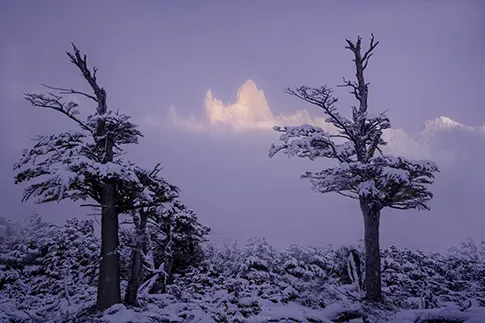 gallery-photo