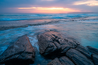 gallery-photo